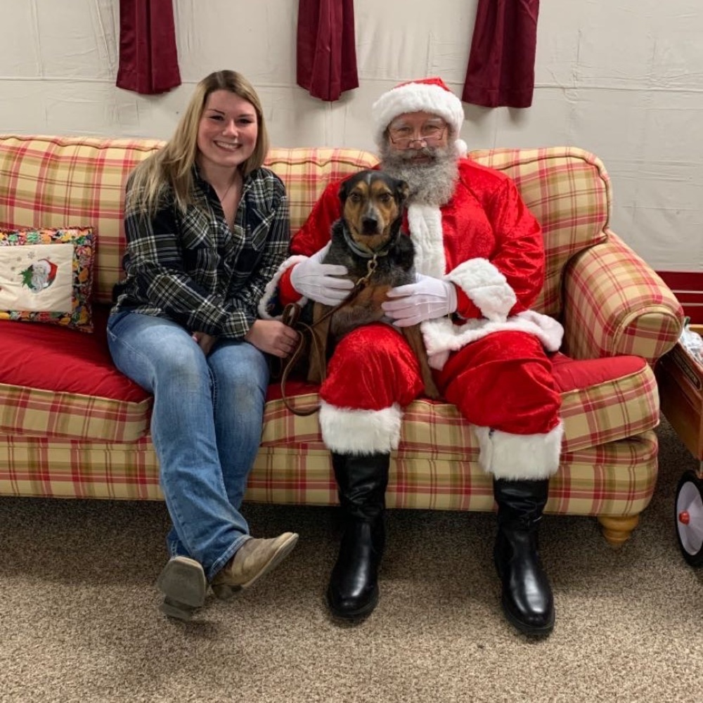 Meet your Posher, Priscilla